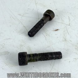 1999 Kawasaki GPZ500 D6 Front Wheel Spindle Bolts -99 EX500 Wheel Bolt