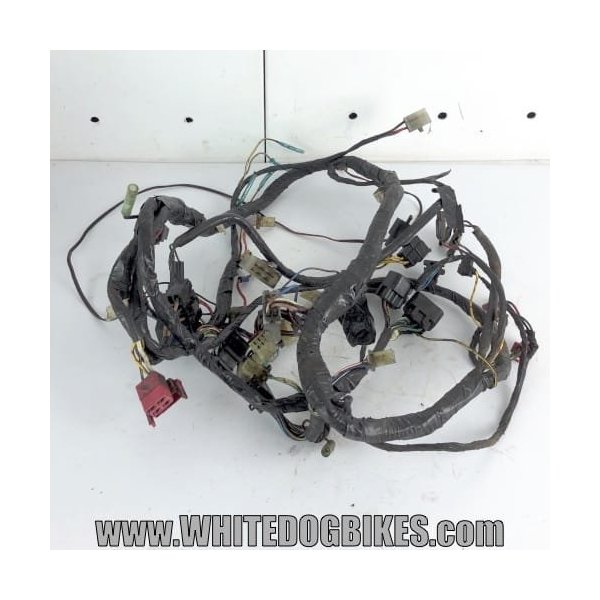GPZ500 wiring loom