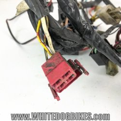 1999 Kawasaki GPZ500 D6 Wiring Loom - 99 EX500 Wire Harness