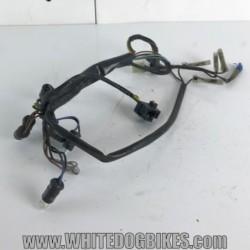 1994 Yamaha XJ600 S Diversion Clock and Headlight Wiring Loom