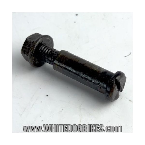 ER5 brake lever bolt
