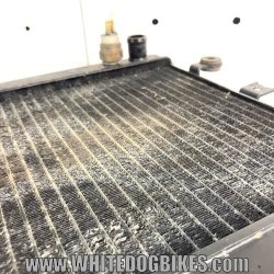 2004 Kawasaki ER5 Radiator - 04 ER-5 Rad - ER500 Radiators
