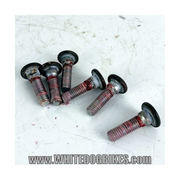 ER5 brake disc bolts