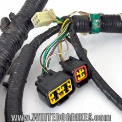2004 Kawasaki ER5 Wire Loom - 04 ER-5 Wiring Harness - ER500