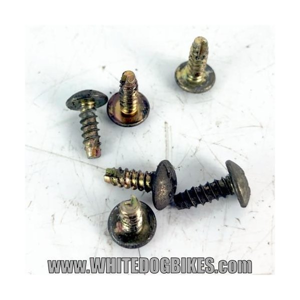 Honda Deauville indicator screws