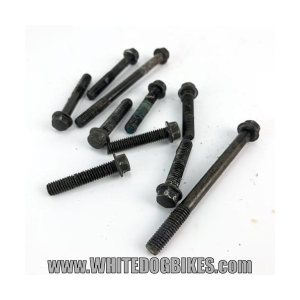 XJ600 Diversion engine case bolts