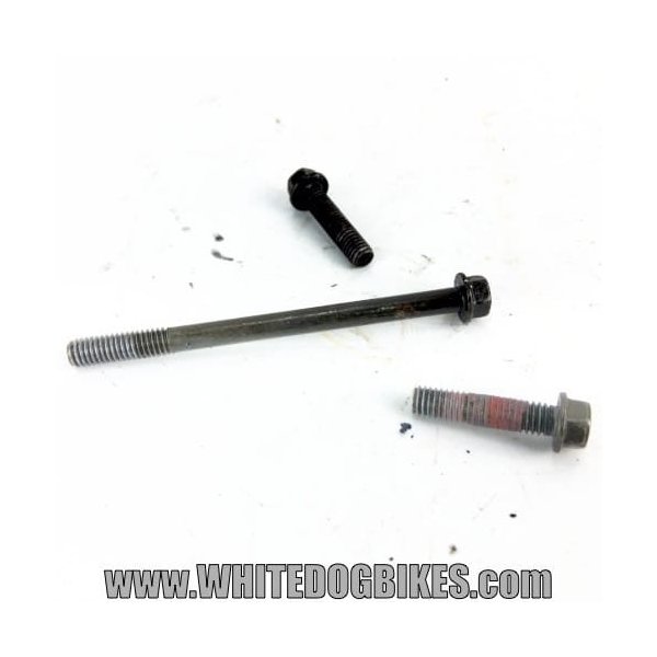 ZRX1200R clutch slave cylinder bolts