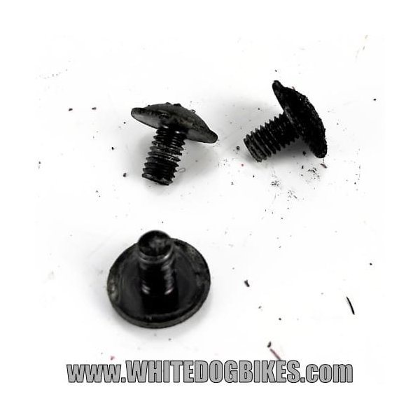 ZRX1200 R chain guard screws