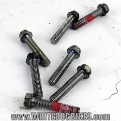 ZRX1200R pulsing cover bolts