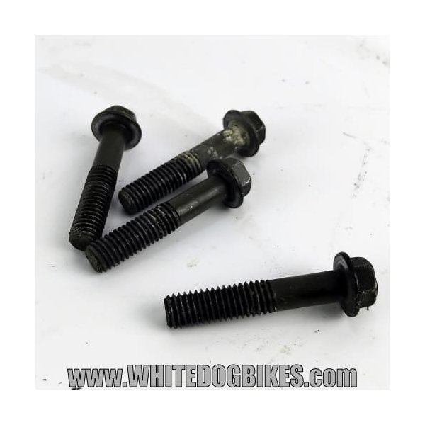ZRX1200 R fork yoke bolts