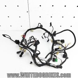 ZRX1200R wire harness