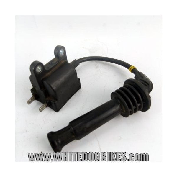Trophy 900 cylinder 2 coil
