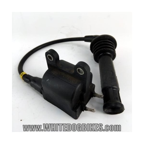 Trophy 900 cylinder 3 coil