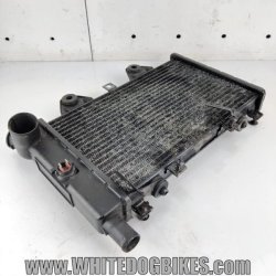 Trophy 900 radiator