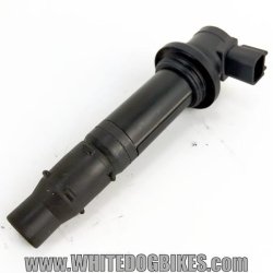 Yamaha R1 plug cap and coil