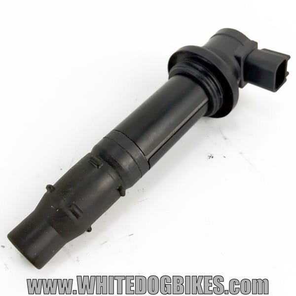 Yamaha R1 plug cap and coil
