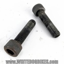 Triumph Trophy swing arm pinch bolts
