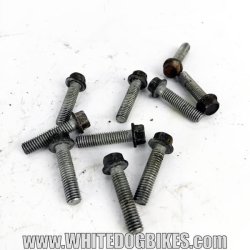 Trophy 900 left motor case bolts