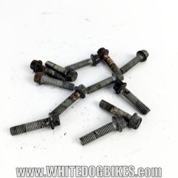 Trophy 900 clutch cover bolts
