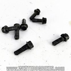 Trophy 900 crank end cover bolts