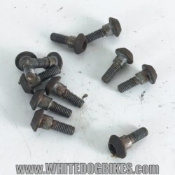 2002 Yamaha YZF-R1 5PW Front Brake Disc Bolts (11x)