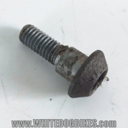 2002 Yamaha YZF-R1 5PW Front Brake Disc Bolts (11x)