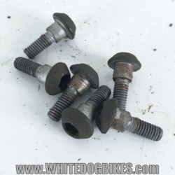 2002 Yamaha YZF-R1 5PW Rear Brake Disc Bolts (6x)