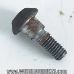 2002 Yamaha YZF-R1 5PW Rear Brake Disc Bolts (6x)
