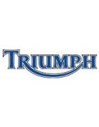 Triumph Oil Filters