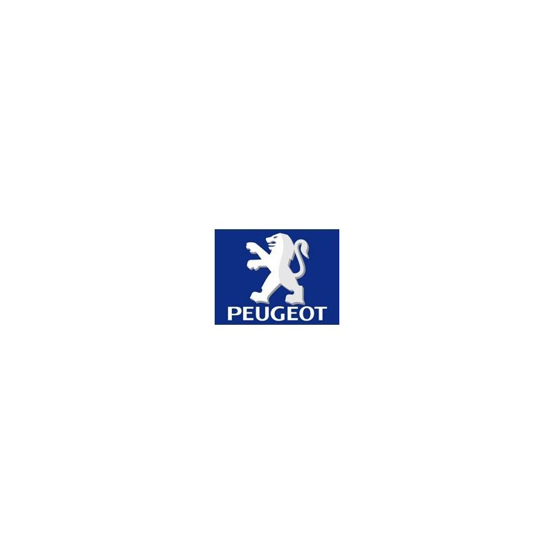 Peugeot Used Scooter Parts