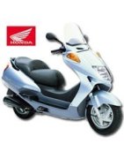 Honda FES125 Pantheon Parts (1998 to 2002)