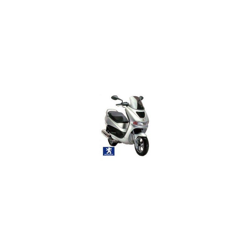 Peugeot Elyseo 125 (1999 to 2002)