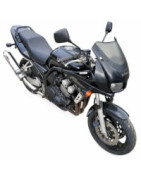 Yamaha FZS600 Fazer Parts (1998 to 2004)