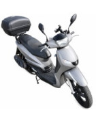 Peugeot Tweet RS 125 Parts