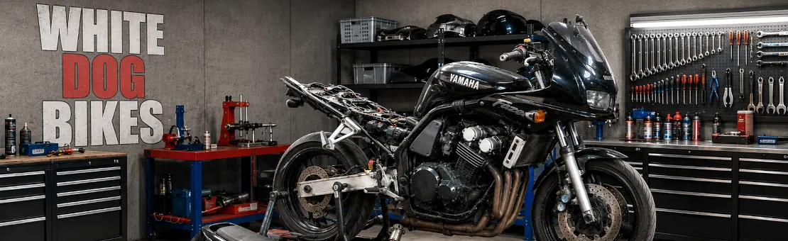 FZS600 Fazer